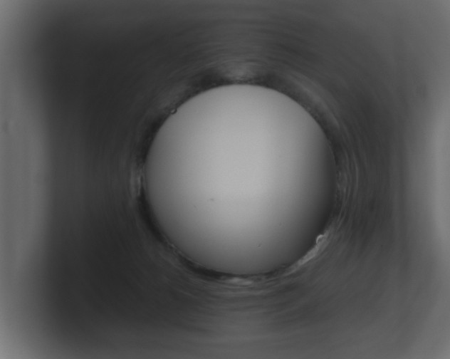 X0000101950180200807180710