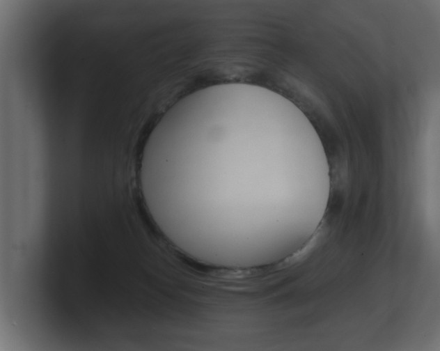 X0000101950182200807180710