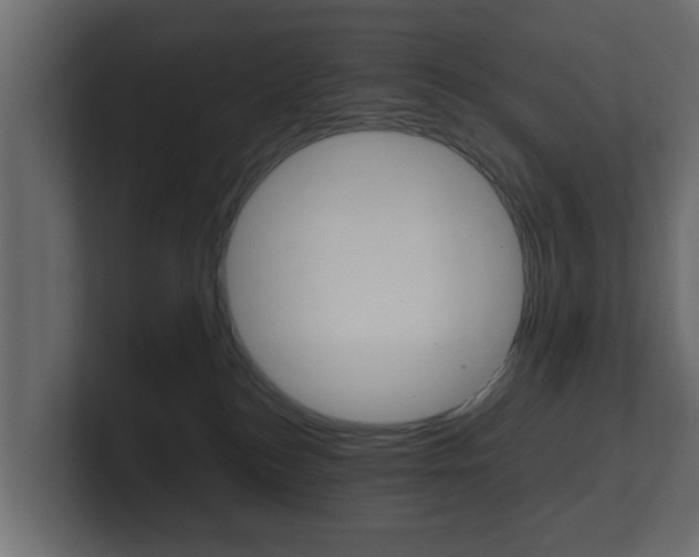 X0000101950184200807180710