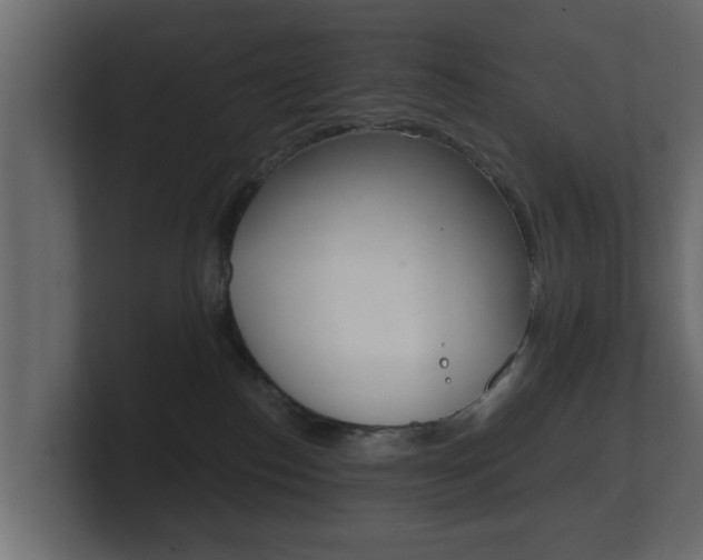 X0000101950186200807180710