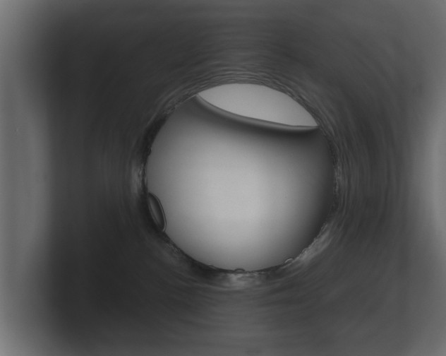 X0000101950188200807180710