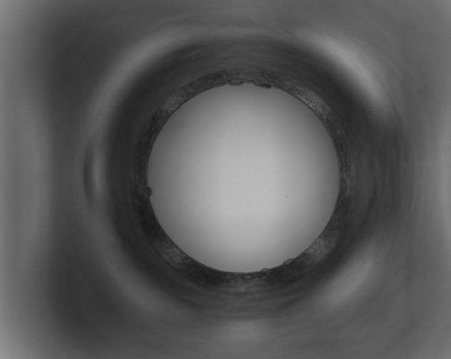 X0000101950189200807180710