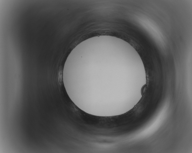 X0000101950190200807180710