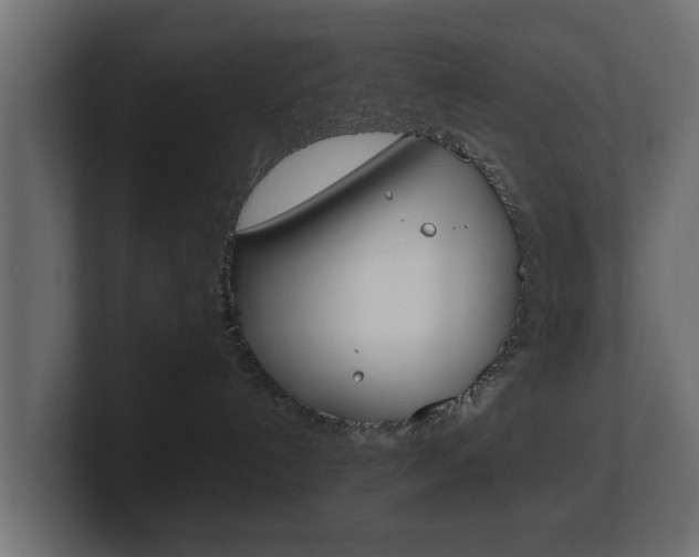 X0000101950192200807180710