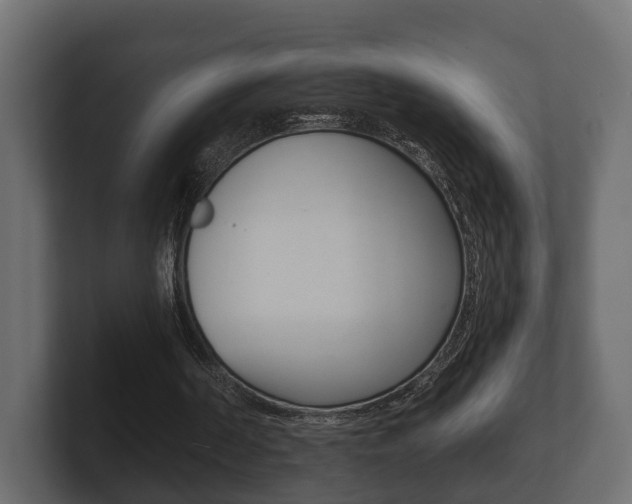 X0000101950194200807180709