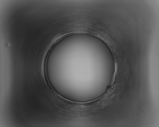 X0000101950195200807180709