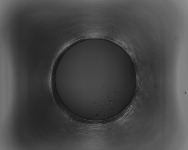 X0000101950196200807180709