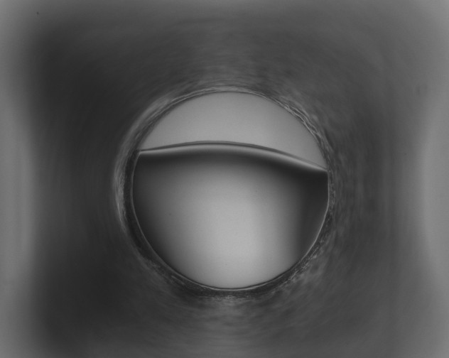 X0000101950197200807180709