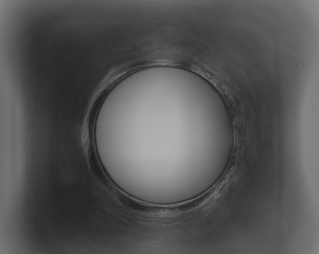 X0000101950198200807180709