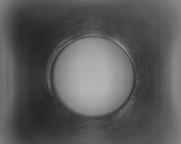 X0000101950199200807180709