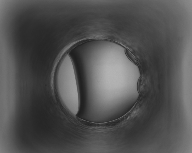 X0000101950200200807180709