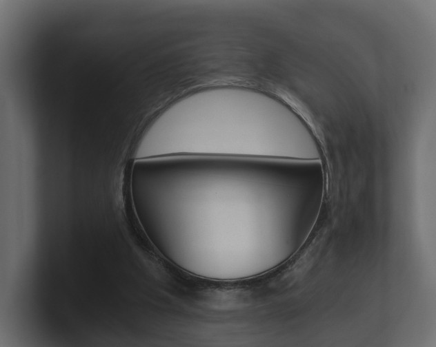 X0000101950201200807180709