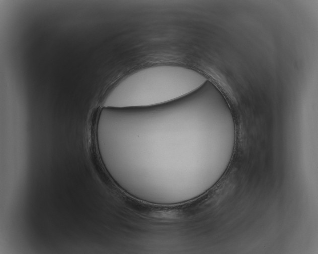 X0000101950202200807180709