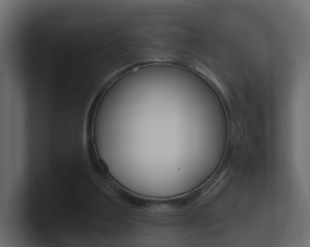 X0000101950203200807180709