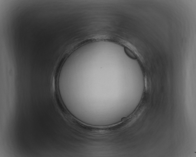 X0000101950205200807180709