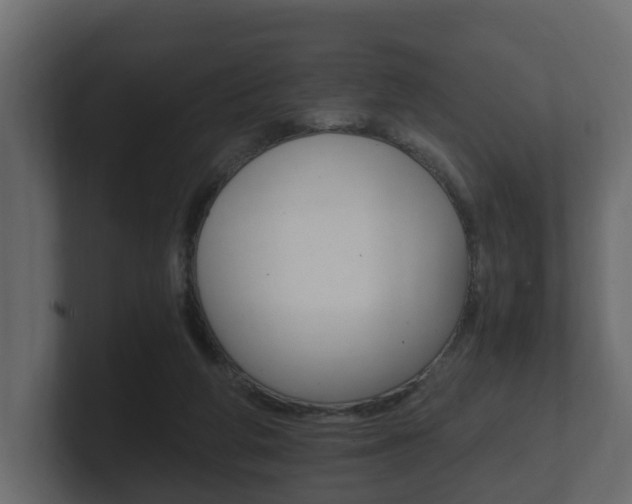 X0000101950210200807180709