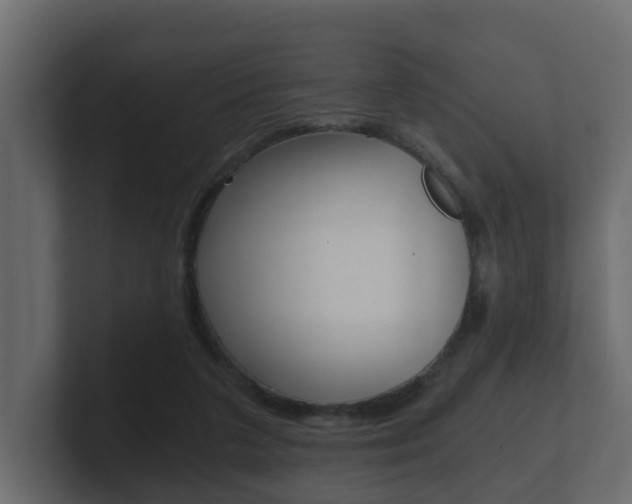 X0000101950211200807180709