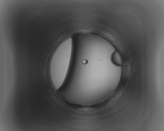 X0000101950212200807180709