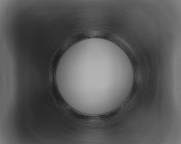 X0000101950214200807180709