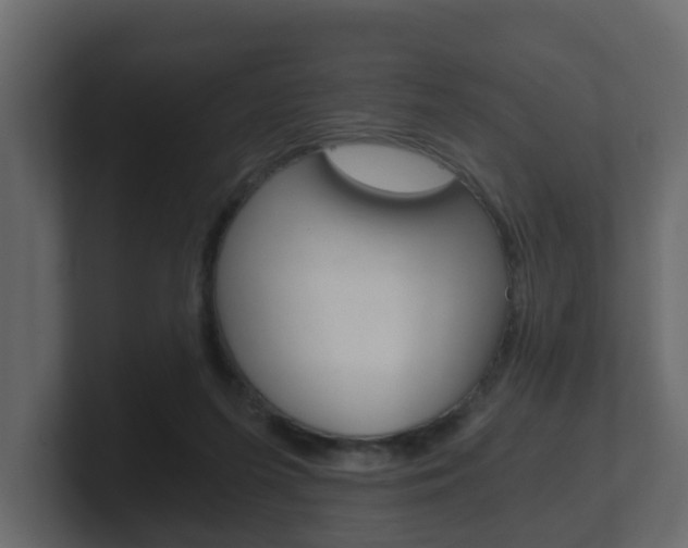 X0000101950215200807180709