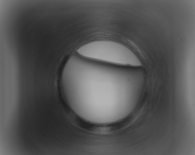 X0000101950217200807180709