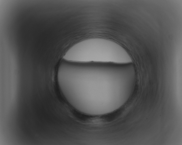 X0000101950219200807180709