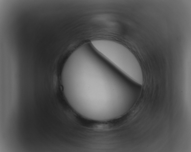 X0000101950220200807180709