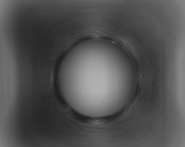 X0000101950221200807180709