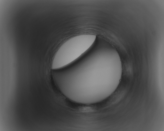 X0000101950224200807180709