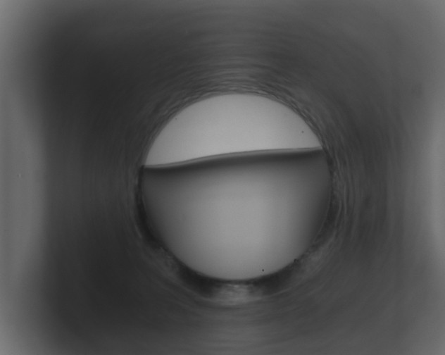 X0000101950227200807180709