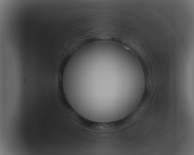 X0000101950229200807180709