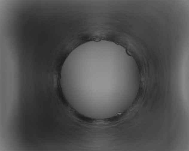 X0000101950231200807180709