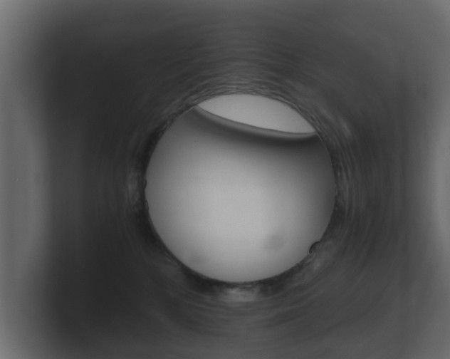 X0000101950232200807180709