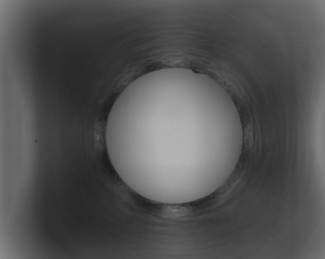 X0000101950234200807180709