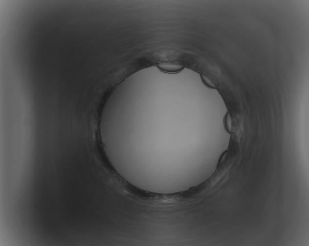 X0000101950235200807180709