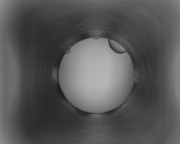 X0000101950238200807180709