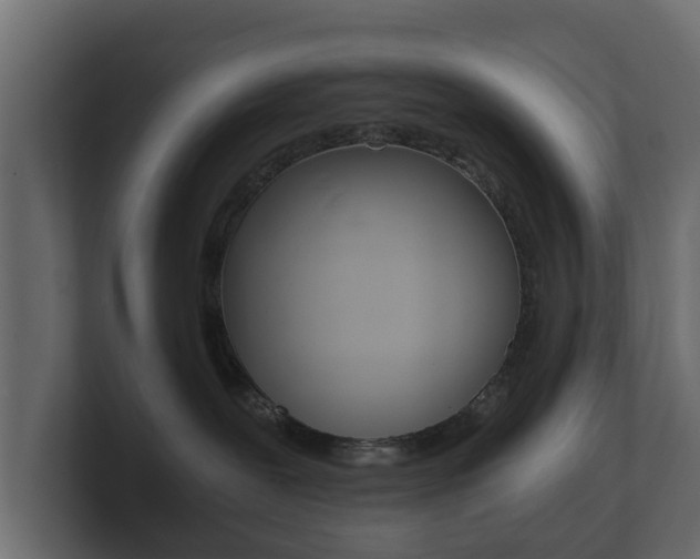 X0000101950239200807180709