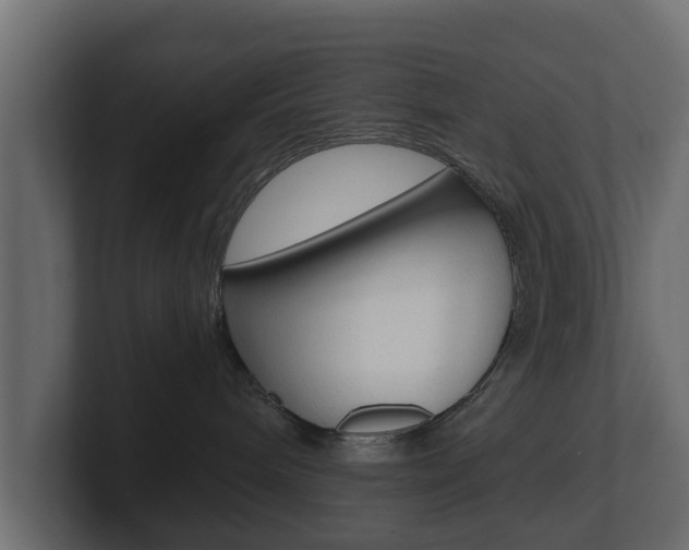 X0000101950240200807180709