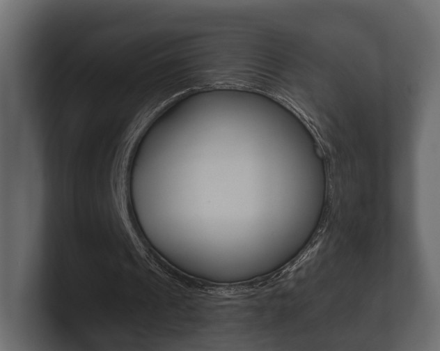 X0000101950241200807180708