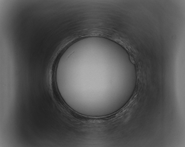 X0000101950242200807180708