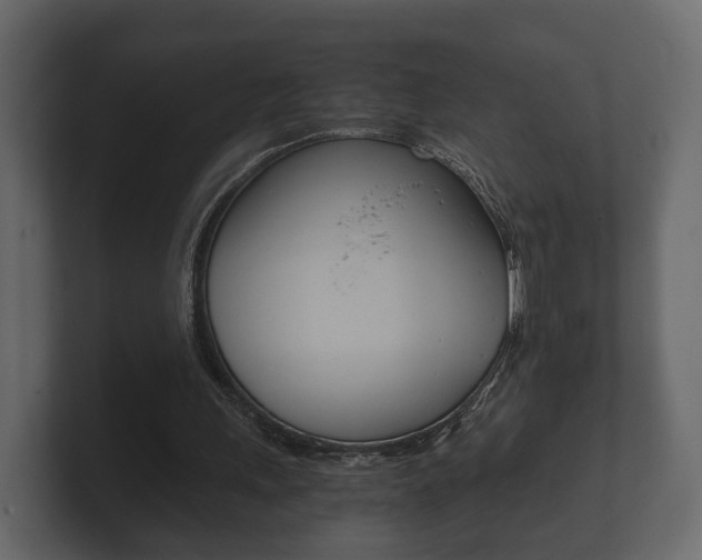 X0000101950243200807180708