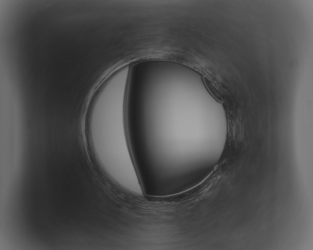 X0000101950244200807180708