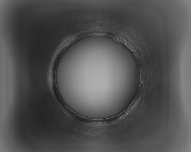 X0000101950245200807180708