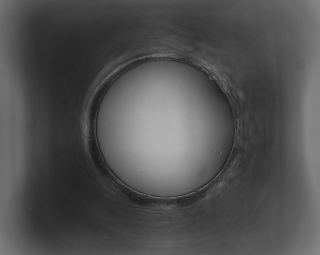 X0000101950247200807180708