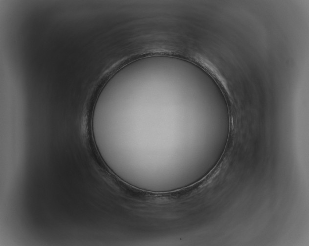 X0000101950249200807180708