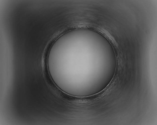 X0000101950250200807180708