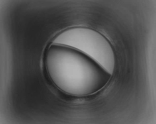 X0000101950252200807180708