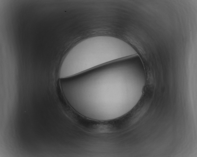 X0000101950255200807180708