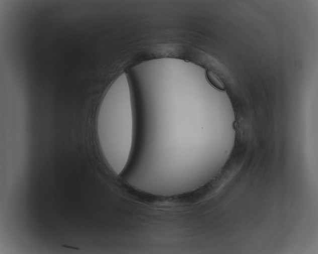 X0000101950259200807180708