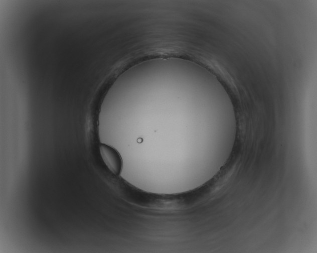 X0000101950260200807180708